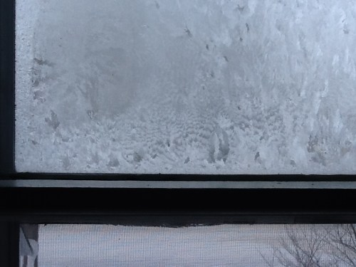 Frost in my bedroom window