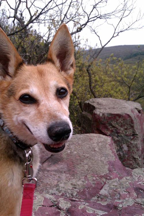 462639_10151595624175155_1127254500_o