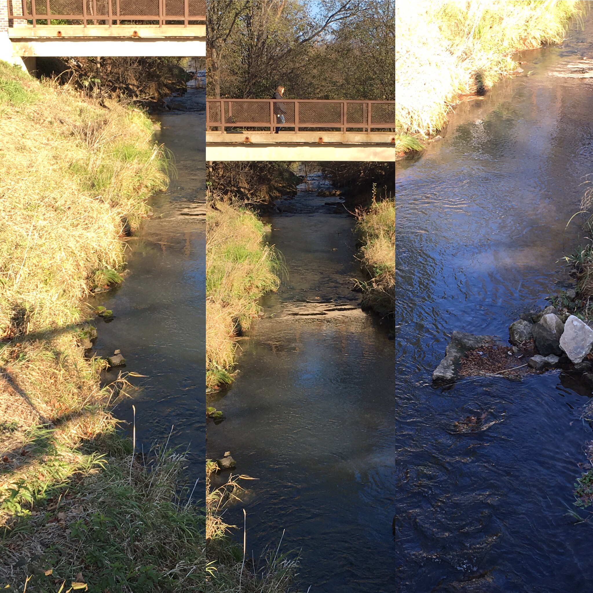 e4030381-7a02-42d0-bbc3-b647d51cd7c1