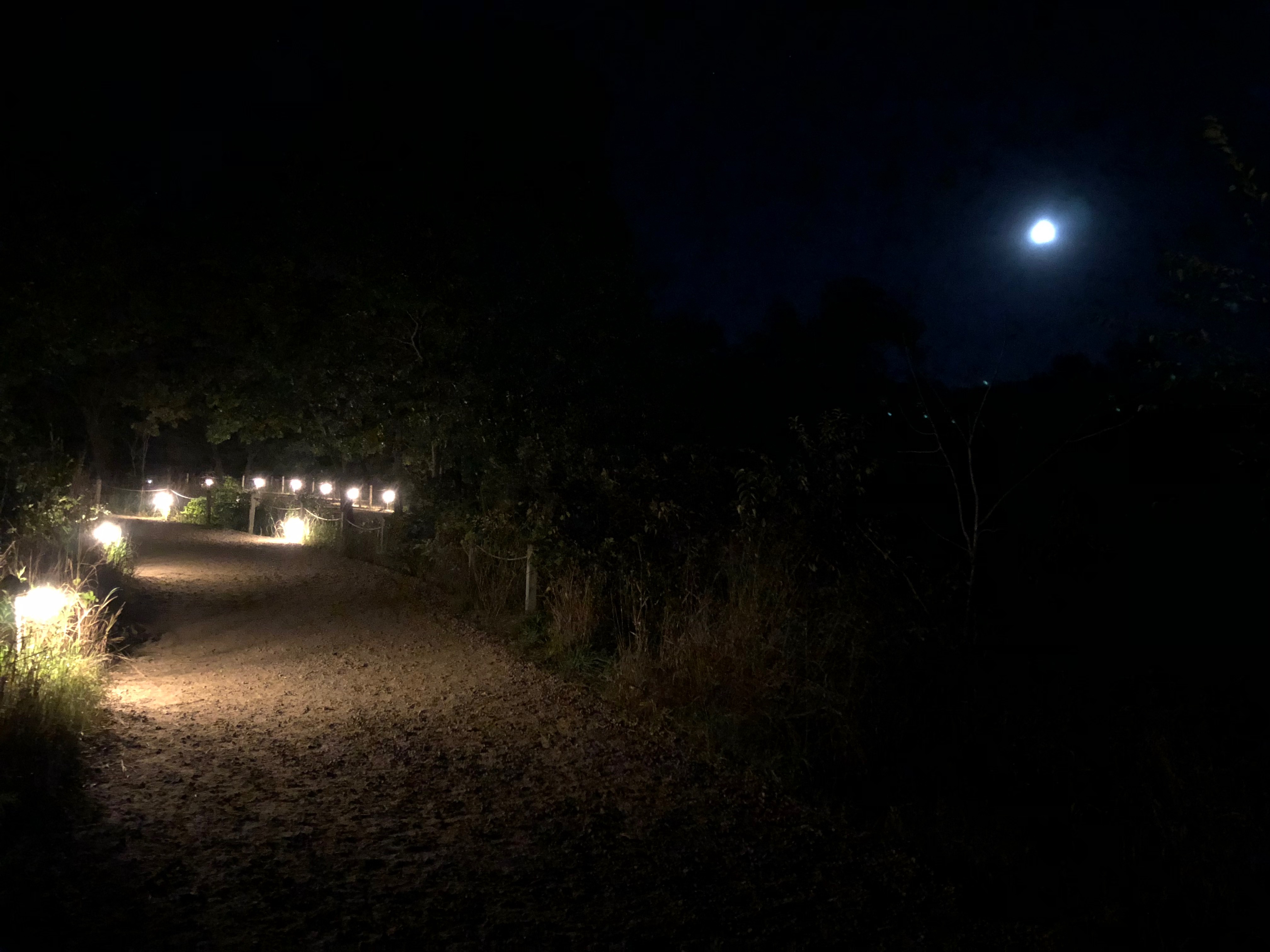 picture of lit path with nearly-full moon